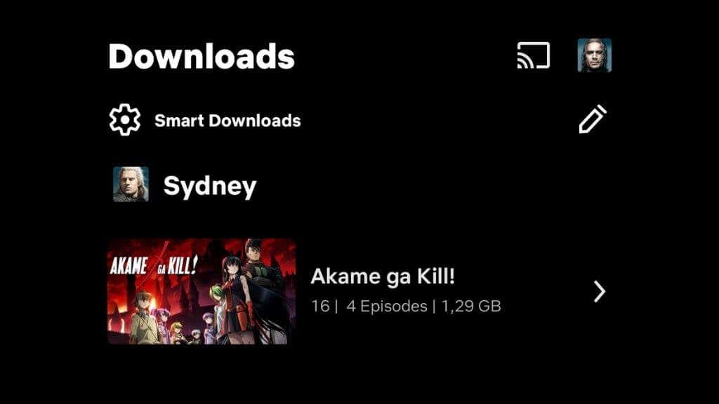 5-Downloads - Online Tech Tips Netflix Downloaded Content image - 5-Downloads