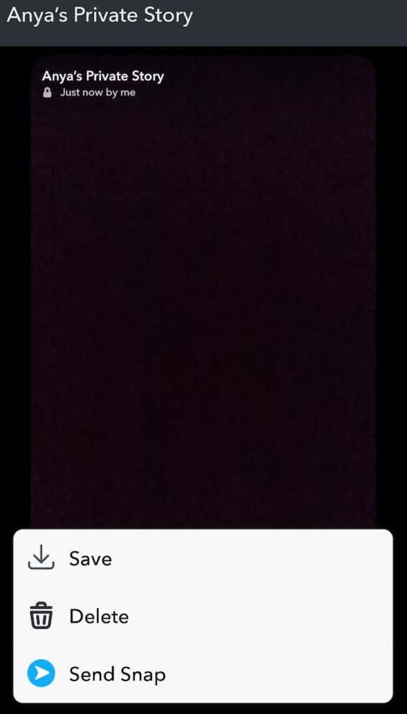 delete-snaps - Online Tech Tips How to Add and Remove Snaps From Your Private Stories image 2 - delete-snaps