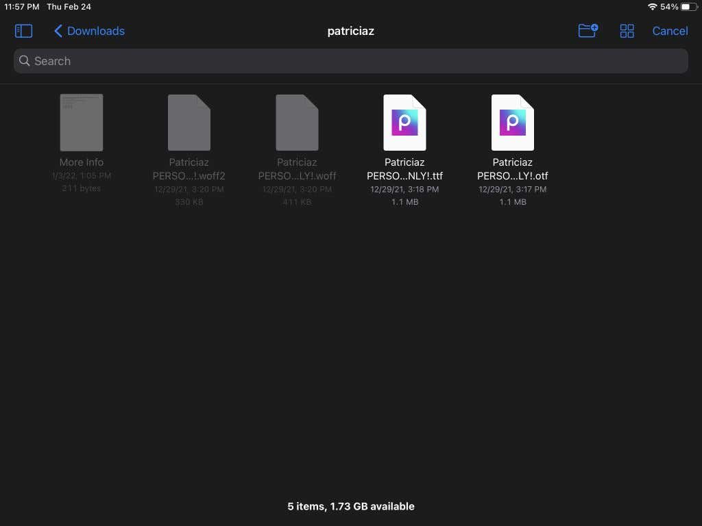 image-43 - Online Tech Tips How to Install Fonts in Procreate image 4 - image-43
