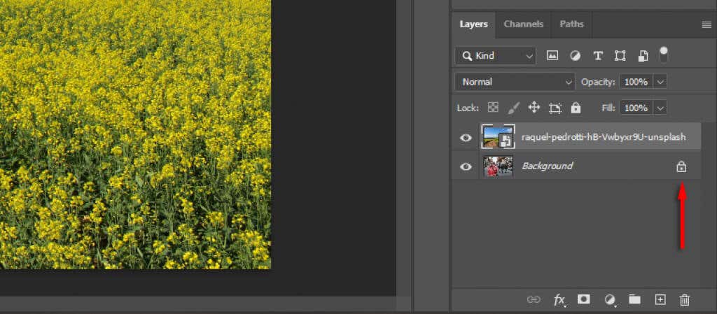 ott-how-to-change-background-image-using-photoshop-5-compressed - Online Tech Tips Step 1: Import the New Background Image image 4 - ott-how-to-change-background-image-using-photoshop-5-compressed