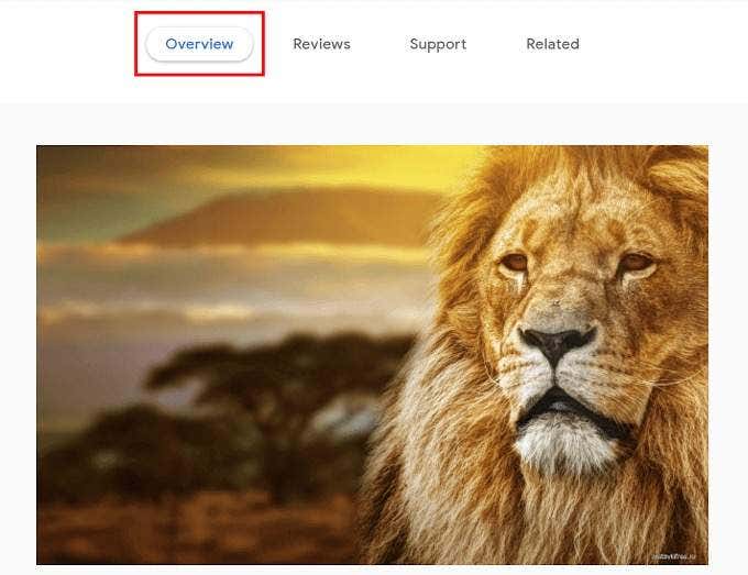 Overview-tab - Online Tech Tips How To Change Your Chrome Theme image 14 - Overview-tab