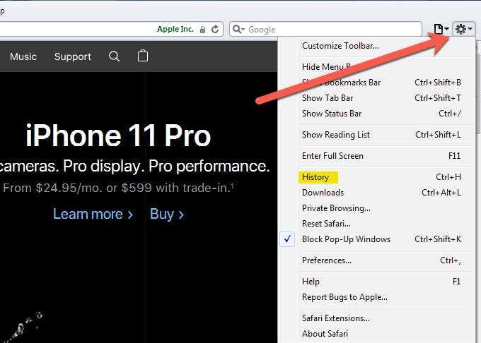 Safari01 - Online Tech Tips Apple Safari image - Safari01