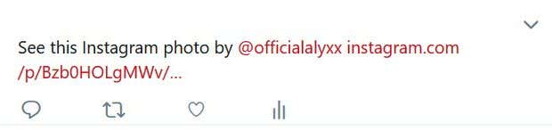Sharing Instagram Posts On Other Platforms image 4 - Twitter sharing