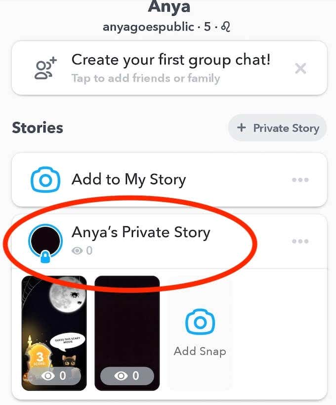 view-private-story - Online Tech Tips How to Create a Private Snapchat Story image 7 - view-private-story