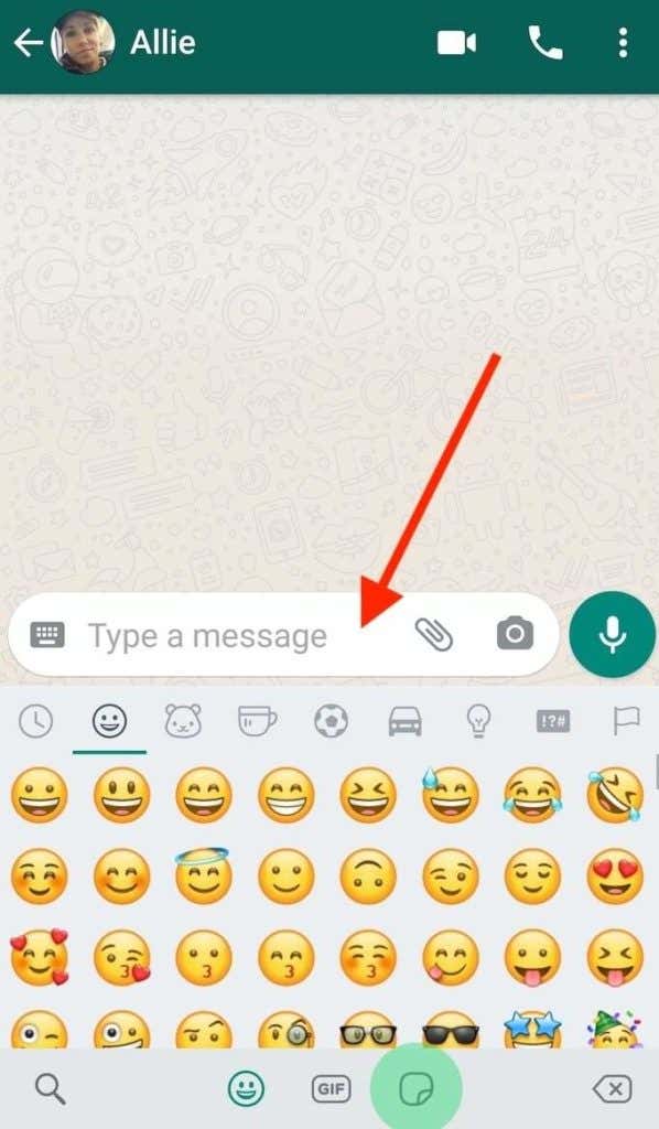How To Use WhatsApp image 3 - whatsapp_send-message
