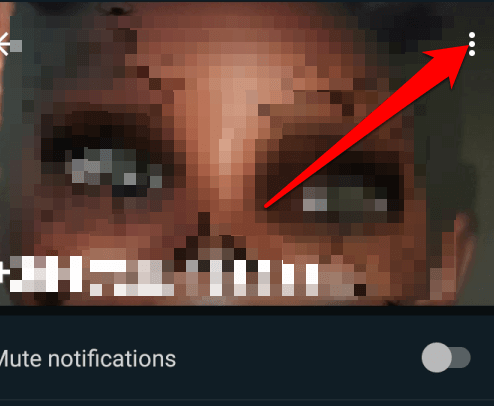 add-contact-whatsapp-more-options - Online Tech Tips How To Delete a Contact On WhatsApp image - add-contact-whatsapp-more-options