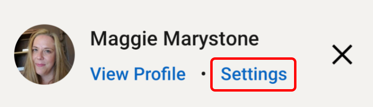 image-132 - Online Tech Tips How to View Your LinkedIn Profile as Public image 9 - image-132