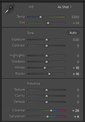 lightroom-vs-photoshop-which-one-should-you-use-5-compressed - Online Tech Tips When to Use Lightroom image 2 - lightroom-vs-photoshop-which-one-should-you-use-5-compressed