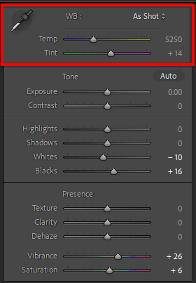 ott-how-to-use-lightroom-for-beginners-20-compressed - Online Tech Tips How to Edit Photos image 11 - ott-how-to-use-lightroom-for-beginners-20-compressed