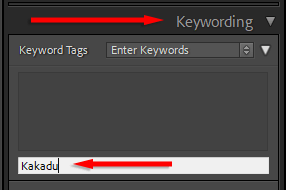 ott-how-to-use-lightroom-for-beginners-4-compressed - Online Tech Tips How to Organize and Manage Photos image 2 - ott-how-to-use-lightroom-for-beginners-4-compressed