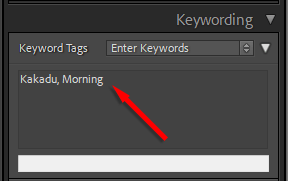 ott-how-to-use-lightroom-for-beginners-5-compressed - Online Tech Tips How to Organize and Manage Photos image 3 - ott-how-to-use-lightroom-for-beginners-5-compressed